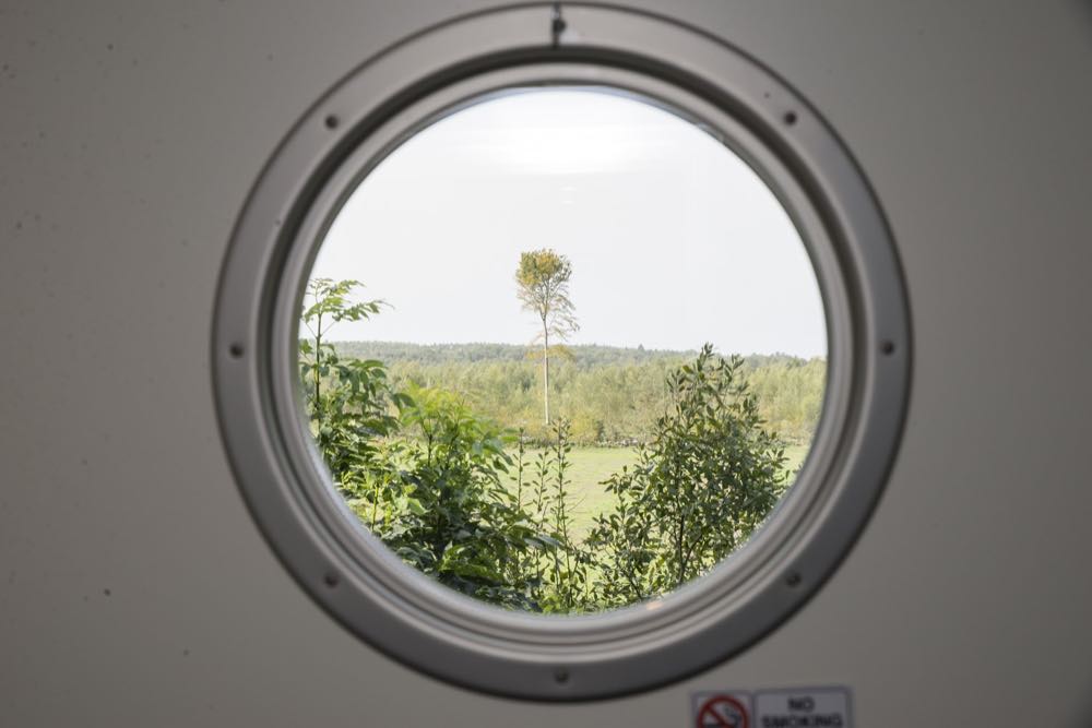 Runt fönster med utsikt över grönskan